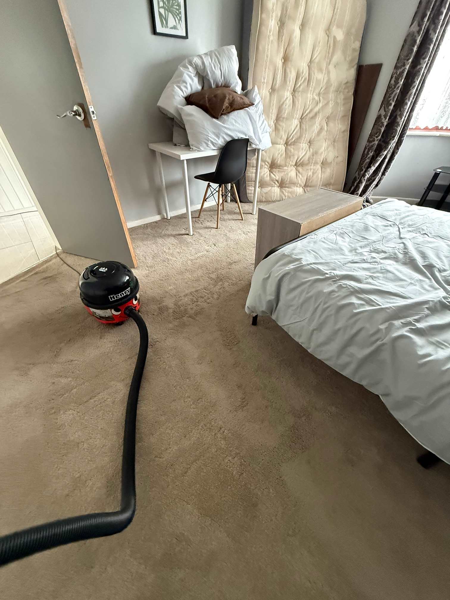 Carpet cleaning equipment set up in a bedroom mid-clean